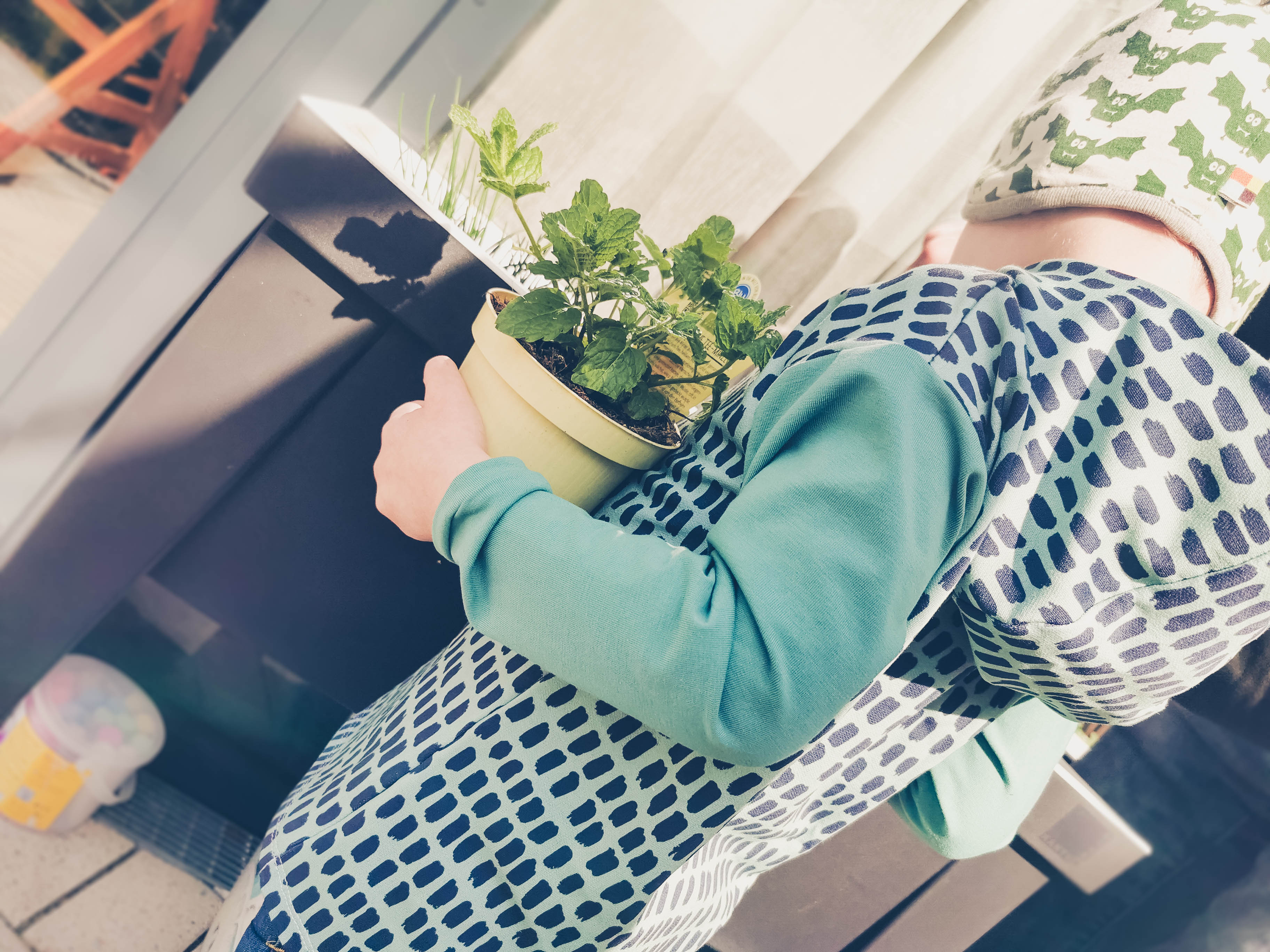 Kind mit Kapuzenshirt hält Kräuterpflanze in der Hand